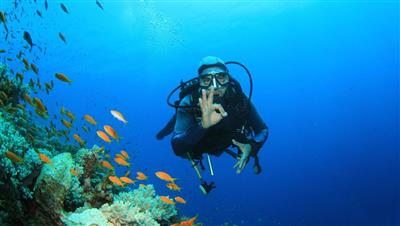 Elite Diving Boat Tour